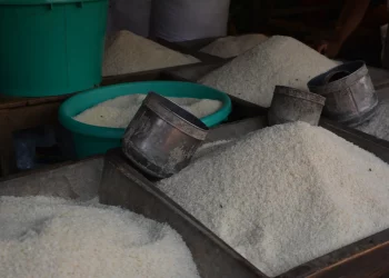 How India’s Rice Export Ban is Affecting the Global Economy