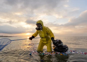 Japan Dumping Fukushima Waste Disrupts Asian Seafood Industry