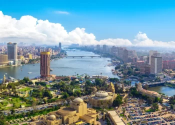 Egypt Leads the Way in Regional Integration of Africa and the Middle East