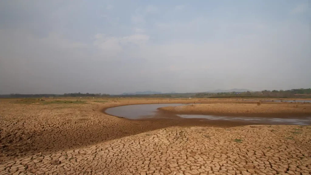 World Food Day 2023: Let’s Find Out The Impact of Water Crisis On World Economy