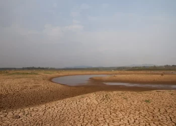 World Food Day 2023: Let’s Find Out The Impact of Water Crisis On World Economy