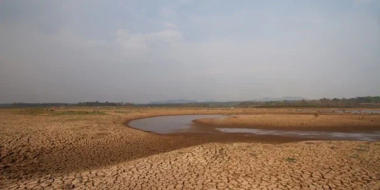 World Food Day 2023: Let’s Find Out The Impact of Water Crisis On World Economy