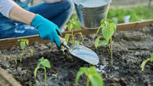 New Fertilizer Technology Boosts Farms, Planet, and Soil