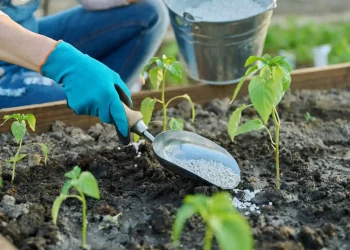 New Fertilizer Technology Boosts Farms, Planet, and Soil