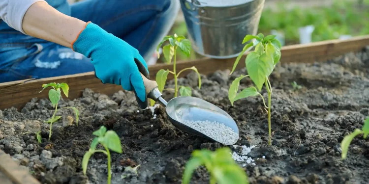 New Fertilizer Technology Boosts Farms, Planet, and Soil