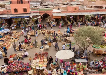 Can Africa's Free Trade Deal Fuel Growth? 
