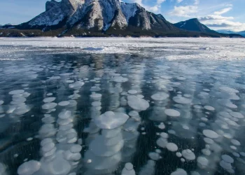 Fossil Fuel Industry Methane Leaks Near Record Highs in 2023 