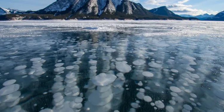 Fossil Fuel Industry Methane Leaks Near Record Highs in 2023 