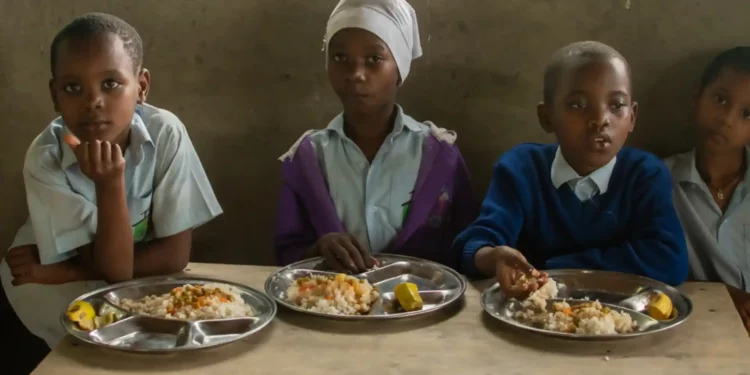 The UN-led Report Suggests 282mn People Faced Food Insecurity Last Year