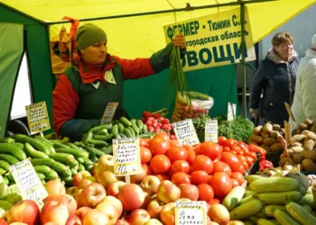 Parallel Economy: Russia’s Strategies amidst Western Sanctions