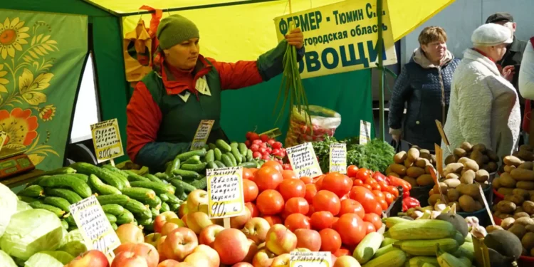 Parallel Economy: Russia’s Strategies amidst Western Sanctions