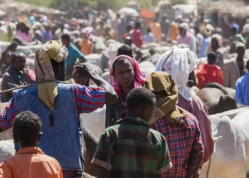 Africa’s Debt Challenges: Implications for Global Stability