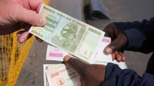 Zimbabwe's ZiG Plummets to the Lowest Since Launch