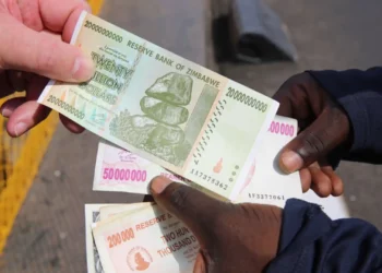 Zimbabwe's ZiG Plummets to the Lowest Since Launch