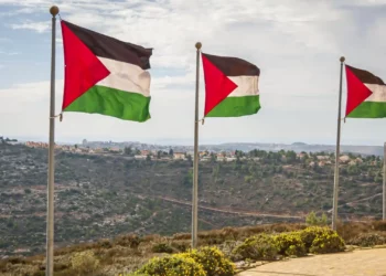 Ireland, Spain, and Norway Officially Recognise Palestine State