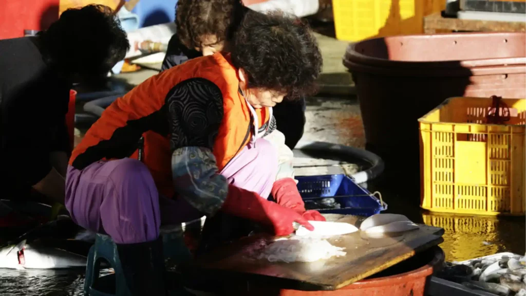 Women of the Sea Japan’s Female Fishers Step-Up to Save Drowning Industry