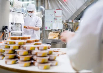 Adapting or Failing? Japan's SMEs at the Brink of Change