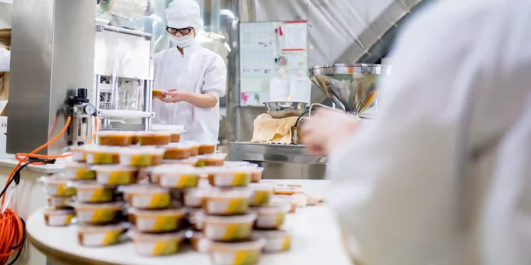 Adapting or Failing? Japan's SMEs at the Brink of Change