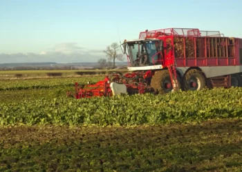 England’s Funding Cuts of £100 Million Threaten Nature-Friendly Farming Future