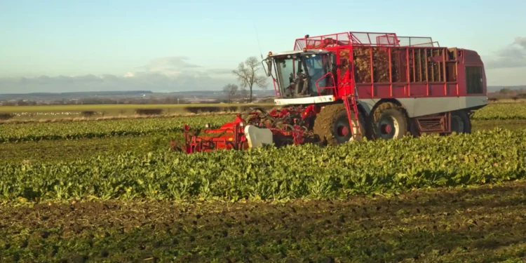 England’s Funding Cuts of £100 Million Threaten Nature-Friendly Farming Future