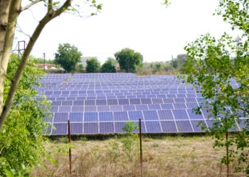 Rapid $1.7 Billion Solar Boom in Pakistan Revolutionizes Agriculture Sector