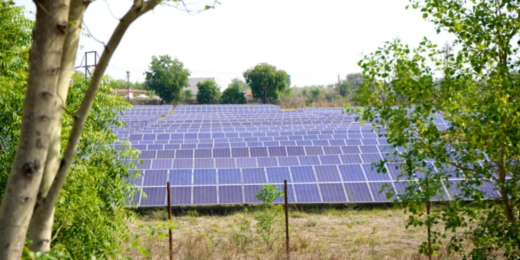 Rapid $1.7 Billion Solar Boom in Pakistan Revolutionizes Agriculture Sector