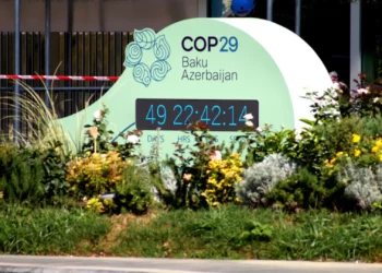 COP29: What To Expect From This Year’s Conference?