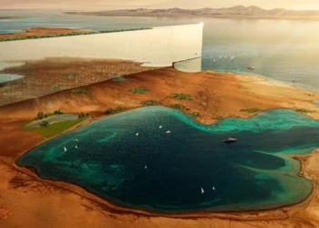 Neom Replaces CEO As Saudi Megaproject Faces Economic Pressure