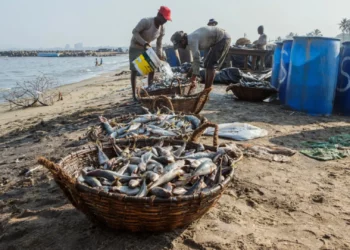Nigerian Coastal Community Loses Livelihood And Homes Due to Rising Sea