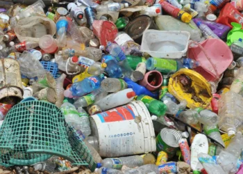 Global Plastic Ban Treaty - Countries Fail Yet Again