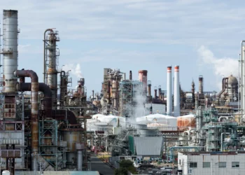 Is Development Of The Non-Oil Sector And Future Of The GCC Inseparable?