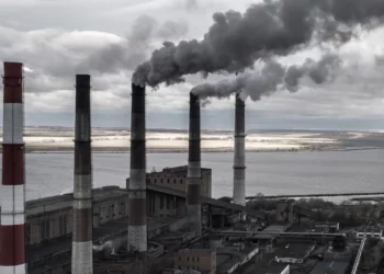 Canada Pension Fund Abandons Net Zero Policy