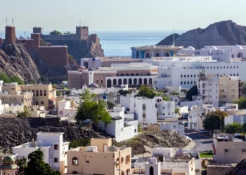 Oman’s Sovereign Wealth Fund Records $4.1 Billion Profit: Global SWF