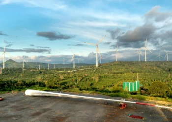 New Green Loans Plan By Bank Could Attract Billions In Climate Finance