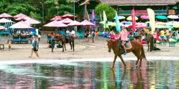 Indonesia Removes Visa Rules for Brazilian and Turkish Citizens to Push Tourism 5 Indonesia Removes Visa Rules for Brazilian and Turkish Citizens to Push Tourism