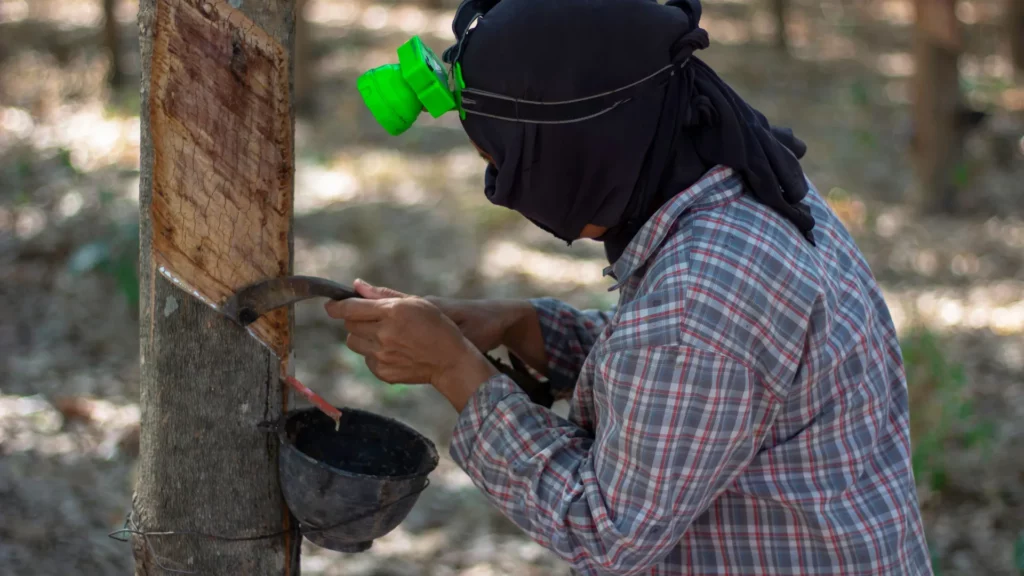 Sri Lanka’s Rubber Exporters Oppose Removal Of Simplified VAT, Citing Serious Economic Fallout