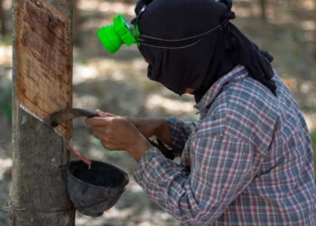 Sri Lanka’s Rubber Exporters Oppose Removal Of Simplified VAT, Citing Serious Economic Fallout