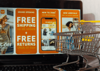 Temu Doubles EU Profit to $120M With Only Eight Employees