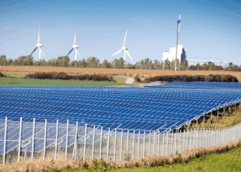 World Bank and Ditrolic Partner with Johor for the $6 Billion Clean Energy Project 8 World Bank and Ditrolic Partner with Johor for the $6 Billion Clean Energy Project