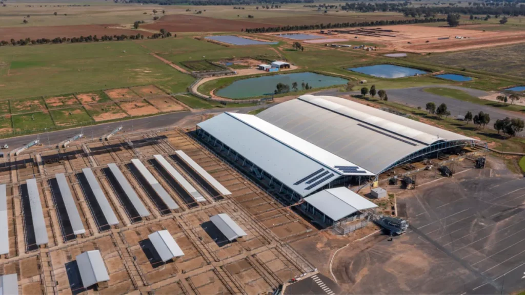 Macquarie Asset Management Aims to Acquire Qube Holdings in $11.6 Billion Takeover