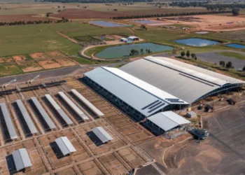 Macquarie Asset Management Aims to Acquire Qube Holdings in $11.6 Billion Takeover