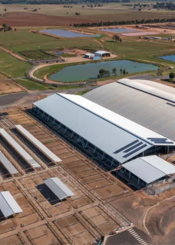 Macquarie Asset Management Aims to Acquire Qube Holdings in $11.6 Billion Takeover