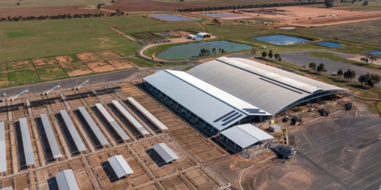 Macquarie Asset Management Aims to Acquire Qube Holdings in $11.6 Billion Takeover