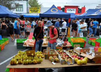 US Lifts Tariffs on Quarter of New Zealand's Exports, Valued at NZ$2.21 Billion